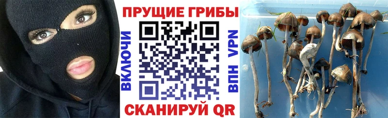 Псилоцибиновые грибы MAGIC MUSHROOMS  Оханск 
